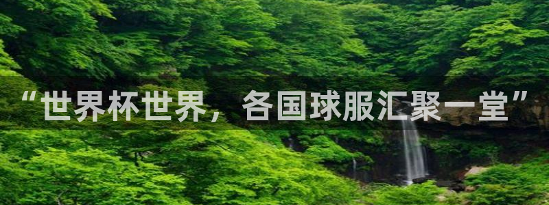 世界杯足球赛:“世界杯世界,各国球服汇聚一堂”