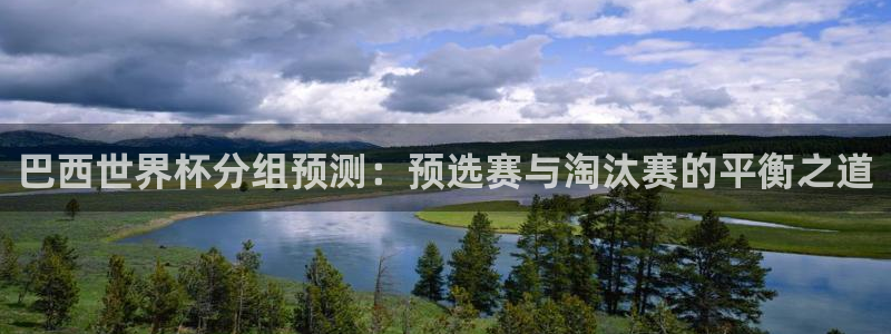 世俱杯直播:巴西世界杯分组预测:预选赛与淘汰赛的平衡之道