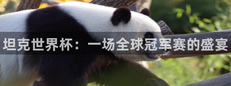 世界杯预选赛欧洲:坦克世界杯:一场全球冠军赛的盛宴